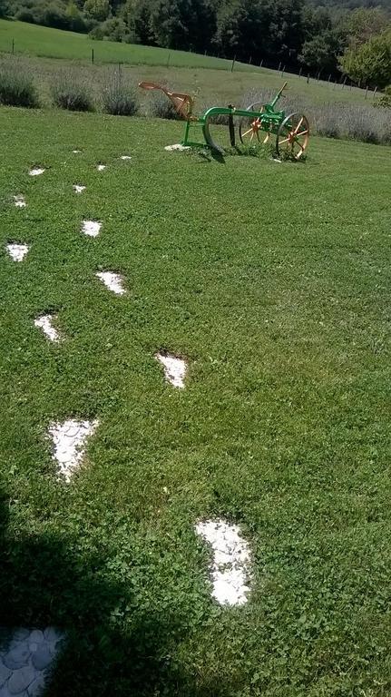 Agroturism Stara Stala Hotel Borut Kültér fotó