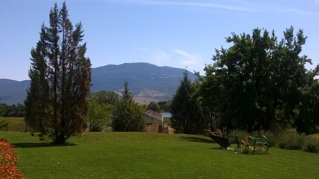 Agroturism Stara Stala Hotel Borut Kültér fotó
