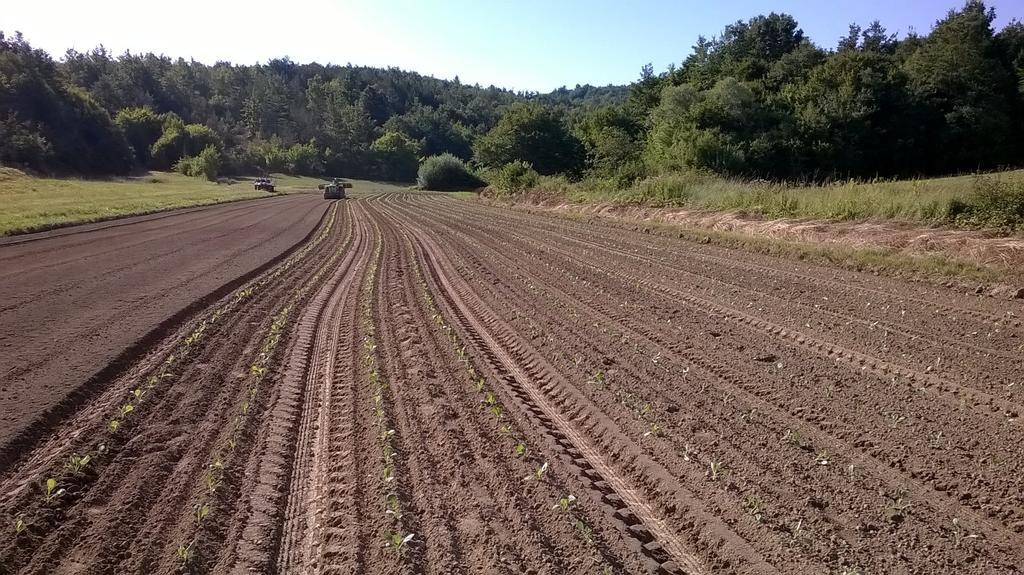Agroturism Stara Stala Hotel Borut Kültér fotó