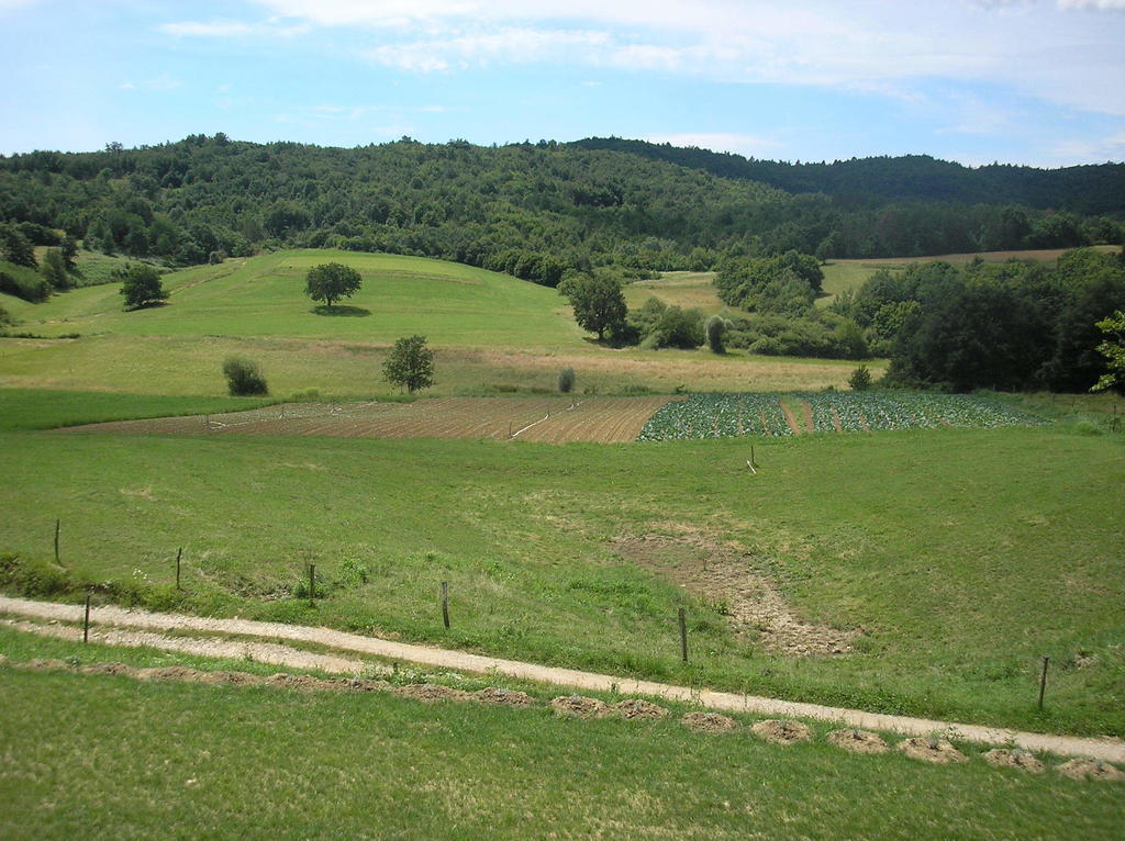 Agroturism Stara Stala Hotel Borut Kültér fotó