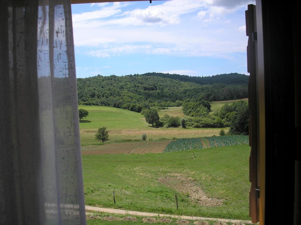 Agroturism Stara Stala Hotel Borut Szoba fotó